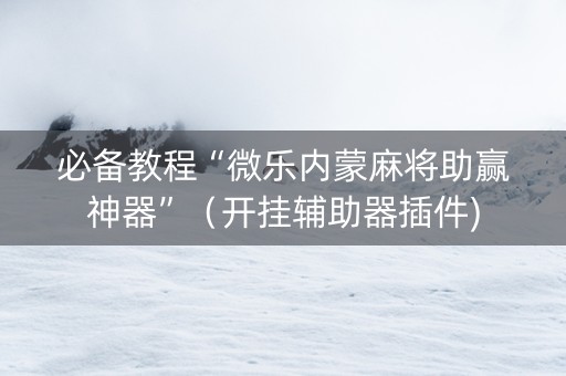必备教程“微乐内蒙麻将助赢神器”（开挂辅助器插件)