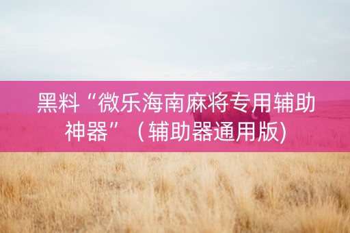 黑料“微乐海南麻将专用辅助神器”（辅助器通用版)