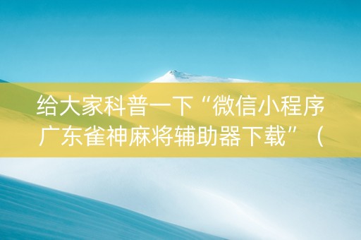 给大家科普一下“微信小程序广东雀神麻将辅助器下载”（赢的技巧规律)
