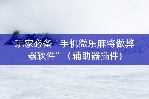 玩家必备“手机微乐麻将做弊器软件”（辅助器插件)