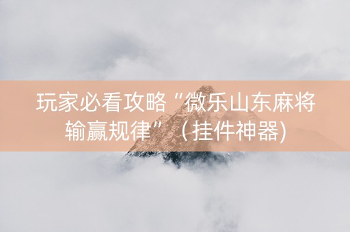 玩家必看攻略“微乐山东麻将输赢规律”（挂件神器)