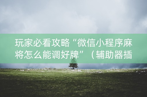 玩家必看攻略“微信小程序麻将怎么能调好牌”（辅助器插件)