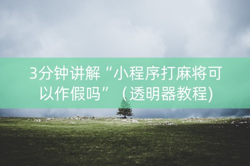 3分钟讲解“小程序打麻将可以作假吗”（透明器教程)