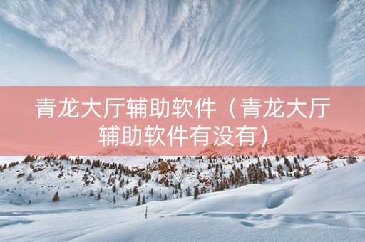 青龙大厅辅助软件（青龙大厅辅助软件有没有）