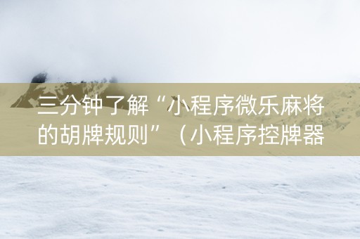 三分钟了解“小程序微乐麻将的胡牌规则”（小程序控牌器)