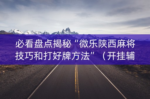 必看盘点揭秘“微乐陕西麻将技巧和打好牌方法”（开挂辅助器脚本)