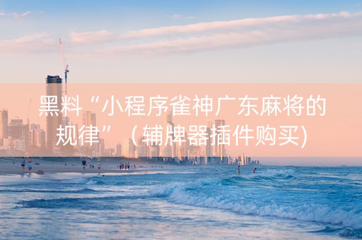 黑料“小程序雀神广东麻将的规律”（辅牌器插件购买)