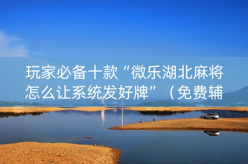 玩家必备十款“微乐湖北麻将怎么让系统发好牌”（免费辅助)