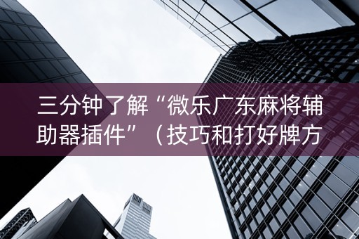 三分钟了解“微乐广东麻将辅助器插件”（技巧和打好牌方法)