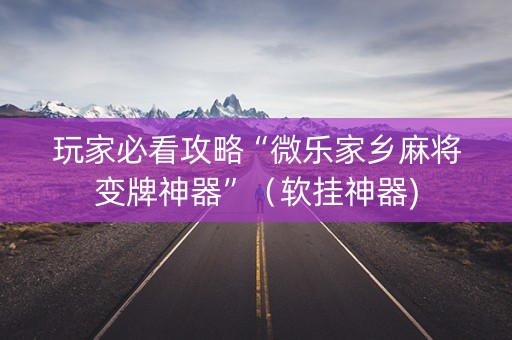 玩家必看攻略“微乐家乡麻将变牌神器”（软挂神器)