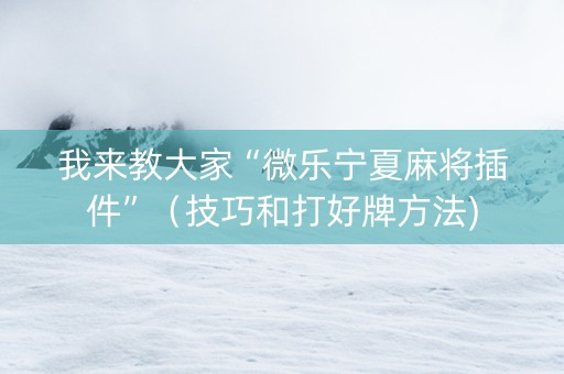 我来教大家“微乐宁夏麻将插件”（技巧和打好牌方法)