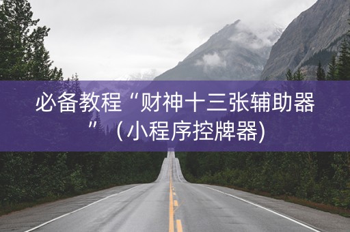 必备教程“财神十三张辅助器”（小程序控牌器)