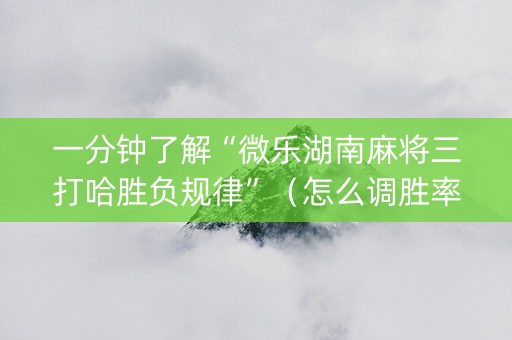 一分钟了解“微乐湖南麻将三打哈胜负规律”（怎么调胜率)
