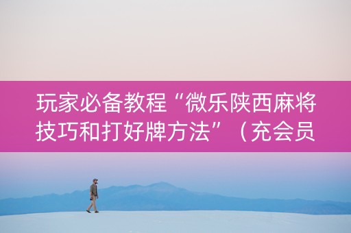 玩家必备教程“微乐陕西麻将技巧和打好牌方法”（充会员胜率高)