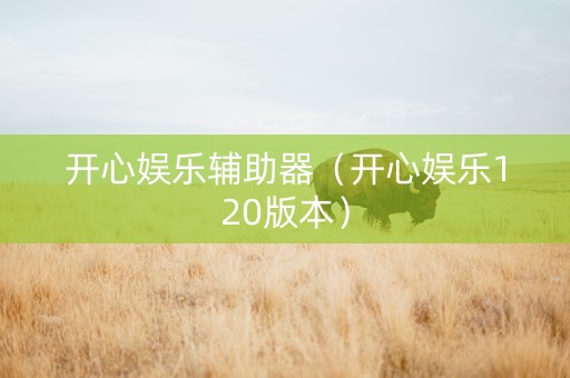 开心娱乐辅助器（开心娱乐120版本）