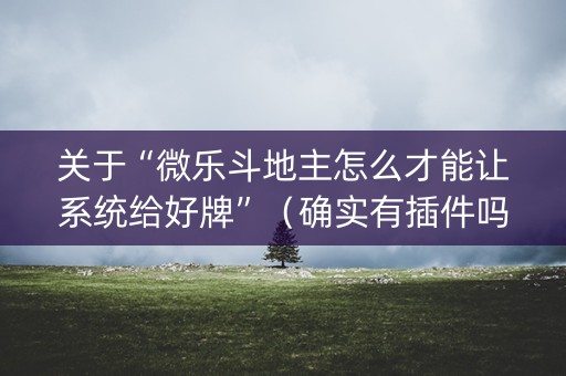 关于“微乐斗地主怎么才能让系统给好牌”（确实有插件吗)