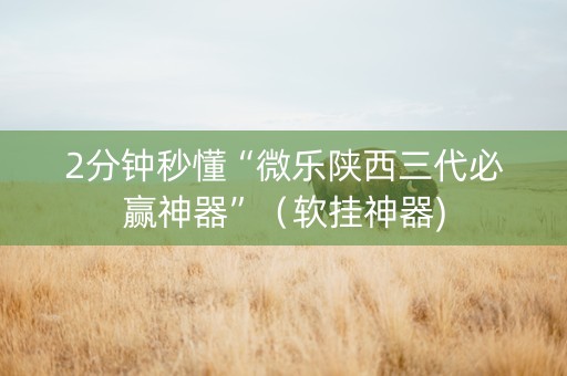 2分钟秒懂“微乐陕西三代必赢神器”（软挂神器)