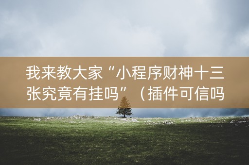 我来教大家“小程序财神十三张究竟有挂吗”（插件可信吗)