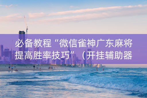 必备教程“微信雀神广东麻将提高胜率技巧”（开挂辅助器脚本)