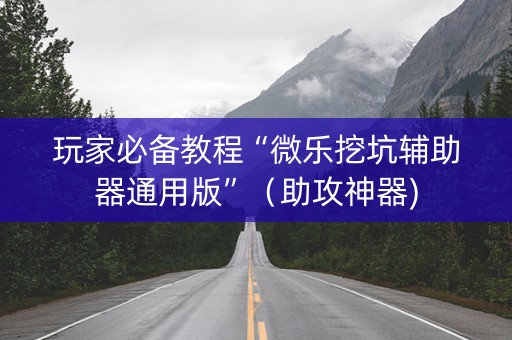 玩家必备教程“微乐挖坑辅助器通用版”（助攻神器)