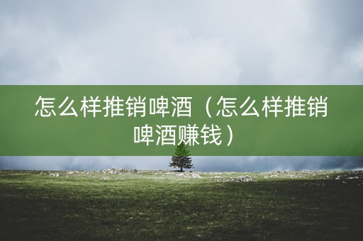 怎么样推销啤酒（怎么样推销啤酒赚钱）
