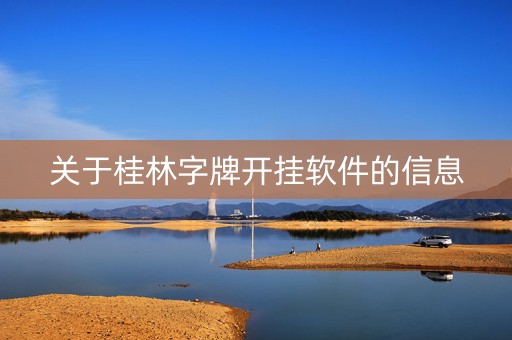 关于桂林字牌开挂软件的信息
