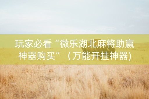 玩家必看“微乐湖北麻将助赢神器购买”（万能开挂神器)