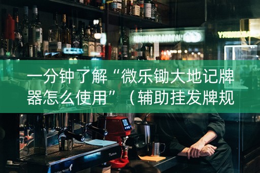 一分钟了解“微乐锄大地记牌器怎么使用”（辅助挂发牌规律)