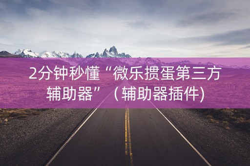 2分钟秒懂“微乐掼蛋第三方辅助器”（辅助器插件)
