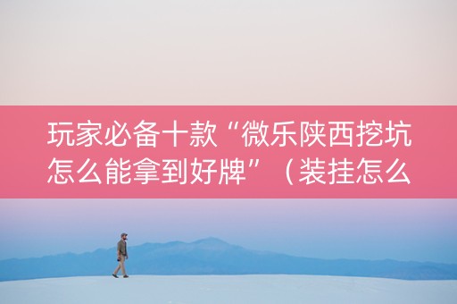 玩家必备十款“微乐陕西挖坑怎么能拿到好牌”（装挂怎么安装)