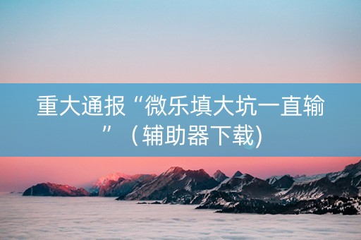 重大通报“微乐填大坑一直输”（辅助器下载)