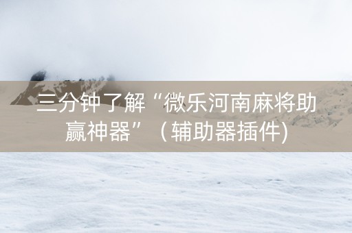 三分钟了解“微乐河南麻将助赢神器”（辅助器插件)