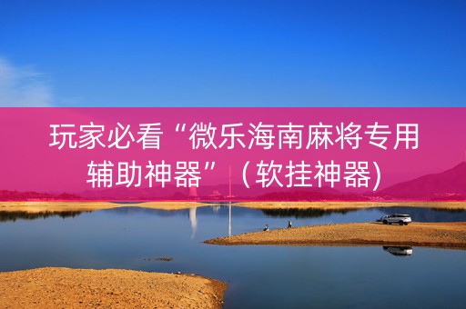 玩家必看“微乐海南麻将专用辅助神器”（软挂神器)