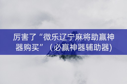 厉害了“微乐辽宁麻将助赢神器购买”（必赢神器辅助器)