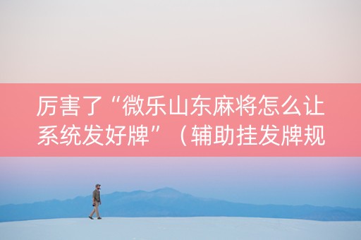厉害了“微乐山东麻将怎么让系统发好牌”（辅助挂发牌规律)