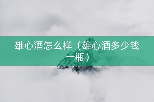 雄心酒怎么样（雄心酒多少钱一瓶）