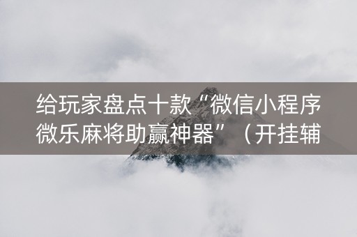 给玩家盘点十款“微信小程序微乐麻将助赢神器”（开挂辅助插件)