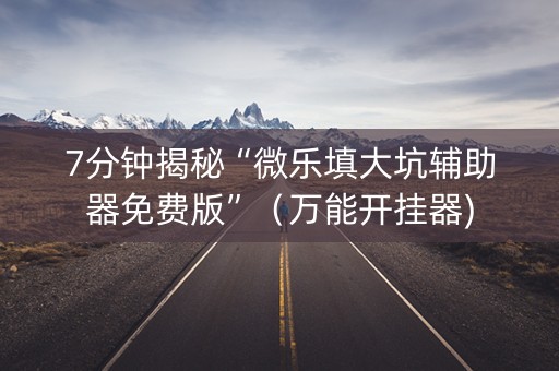 7分钟揭秘“微乐填大坑辅助器免费版”（万能开挂器)