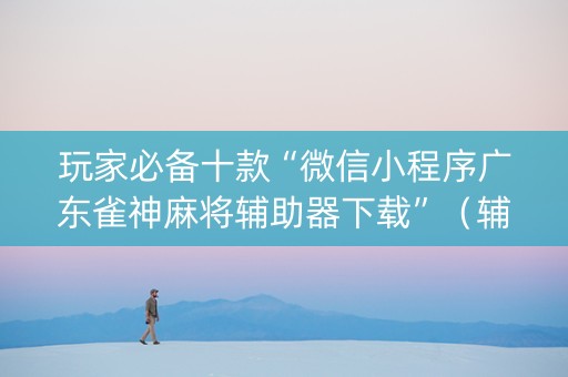玩家必备十款“微信小程序广东雀神麻将辅助器下载”（辅牌器插件购买)