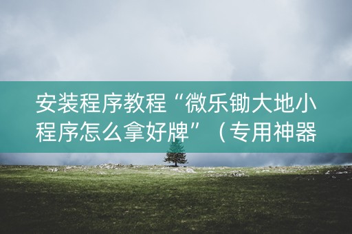 安装程序教程“微乐锄大地小程序怎么拿好牌”（专用神器)