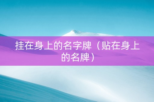 挂在身上的名字牌（贴在身上的名牌）