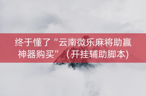 终于懂了“云南微乐麻将助赢神器购买”（开挂辅助脚本)