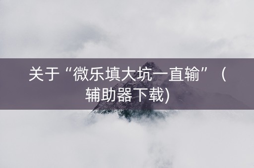 关于“微乐填大坑一直输”（辅助器下载)