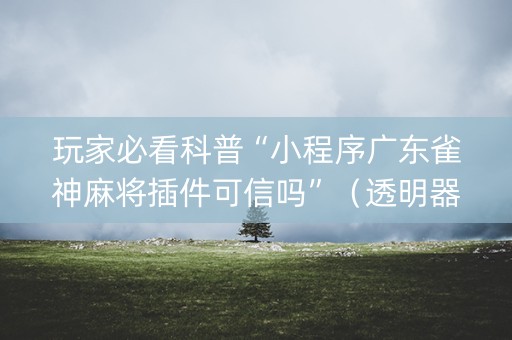 玩家必看科普“小程序广东雀神麻将插件可信吗”（透明器教程)