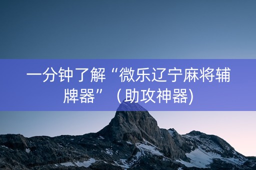 一分钟了解“微乐辽宁麻将辅牌器”（助攻神器)