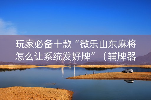 玩家必备十款“微乐山东麻将怎么让系统发好牌”（辅牌器插件购买)