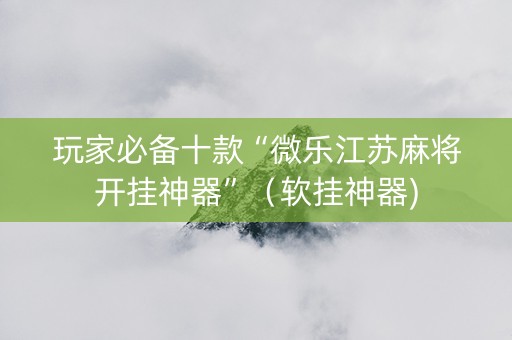 玩家必备十款“微乐江苏麻将开挂神器”（软挂神器)