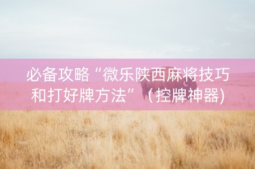 必备攻略“微乐陕西麻将技巧和打好牌方法”（控牌神器)