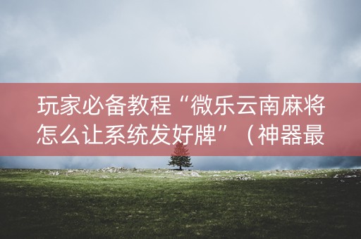 玩家必备教程“微乐云南麻将怎么让系统发好牌”（神器最新免费)