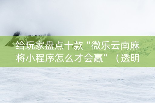 给玩家盘点十款“微乐云南麻将小程序怎么才会赢”（透明器教程)